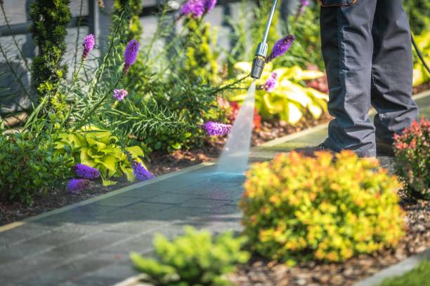Best Pool Deck Cleaning  in Chisholm, MN